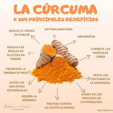CURCUMA FIT