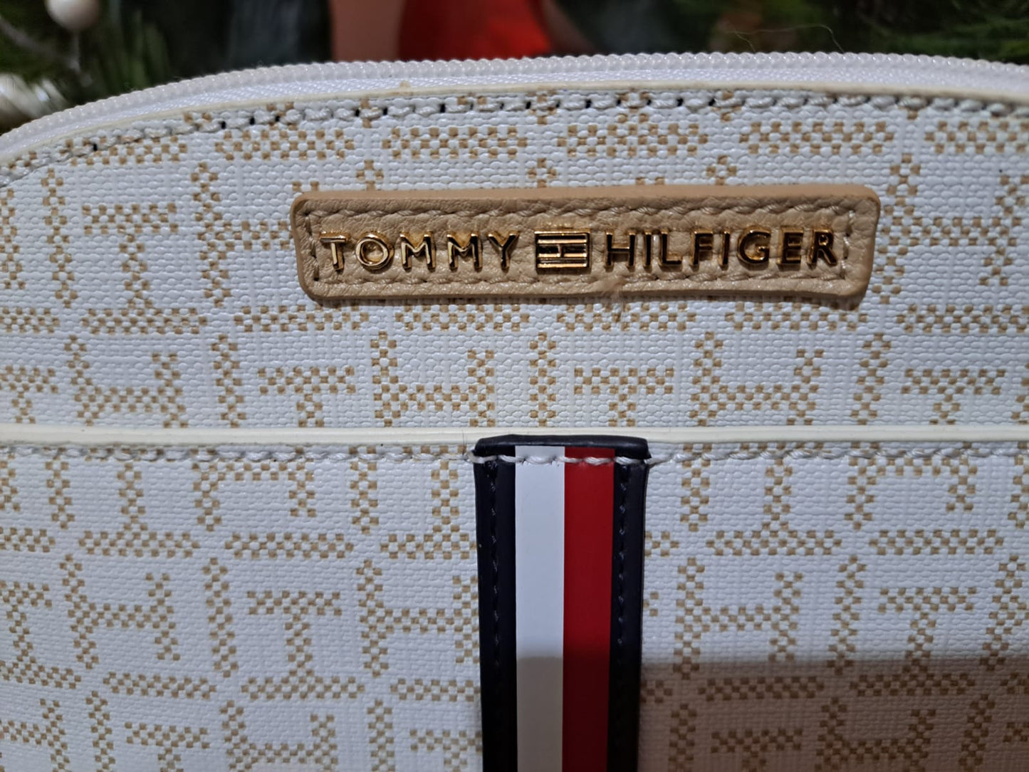 CARTERA CROSSBODY TOMMY HILFIGER DOME MONOGRAM